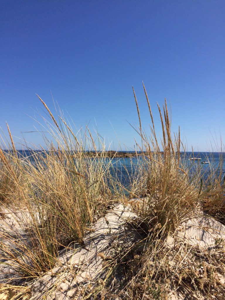 vacanze2